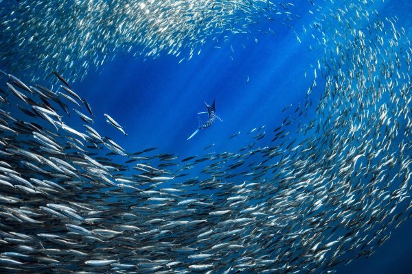 Imaju uvrnute seksualne apetite