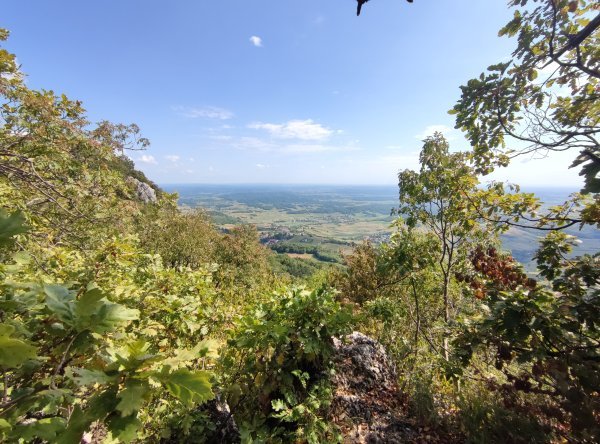Kalnik
