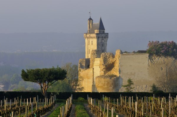 Francuska dolina Loire postaje sve atraktivnija vinoljupcima Profimedia