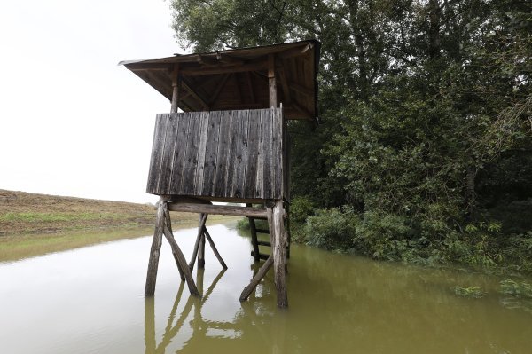 Vrh vodnog vala na Dunavu kod Batine, Baranja