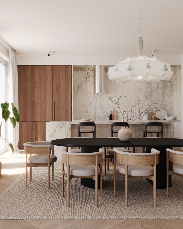 4_Penthouse Franc_Kuhinja i blagovaonica