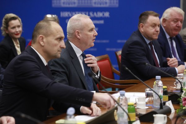 Boris Ruge na zajedničkoj sjednici s Odborom za vanjsku politiku