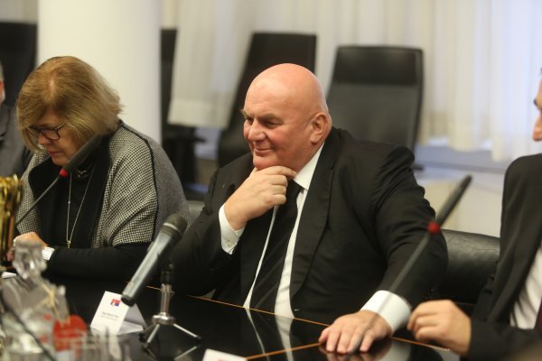 Dragan Marković Palma