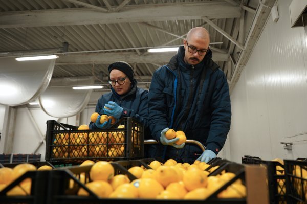 Enna Fruit - kontrola kvalitete