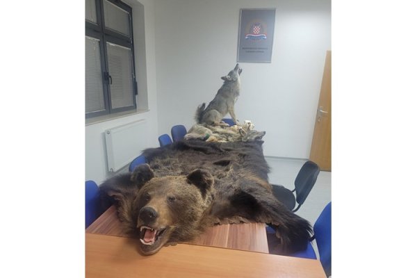 Pokušaj krijumčarenja ugroženih vrsta divljih životinja - trofeja vuka i medvjeda i trofejne lubanje