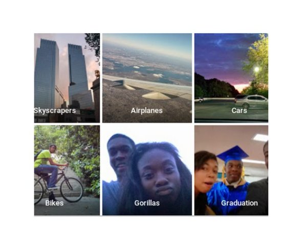 Google Gorillas Twitter