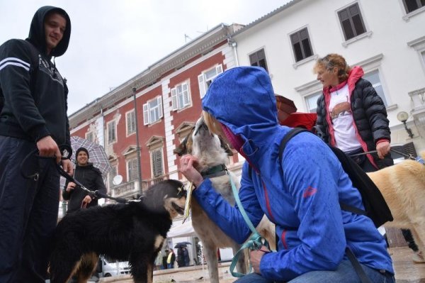 Velika šetnja pasa u Puli
