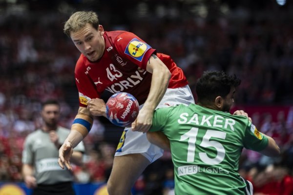 Danska - Alžir, rukomet SP, 14.1.2025.