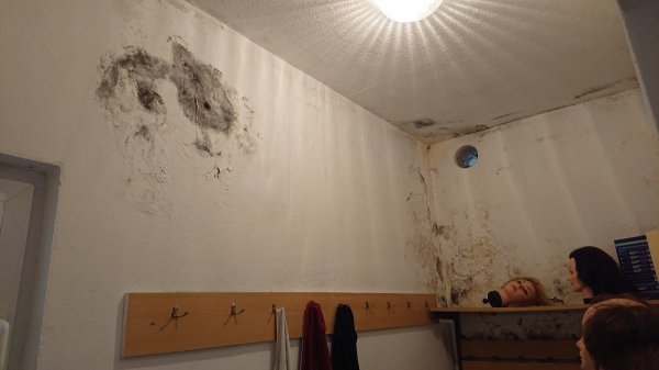 Srednja strukovna škola u Makarskoj