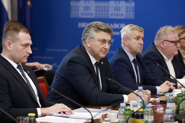 Predstavljanje Davida Vlajčića