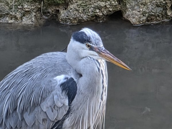 Samsung Galaxy S25 Ultra primjeri fotografija