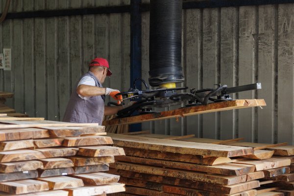 Hrvatske šume su povećale cijene trupaca drvoprerađivačima za sedam do 10 posto