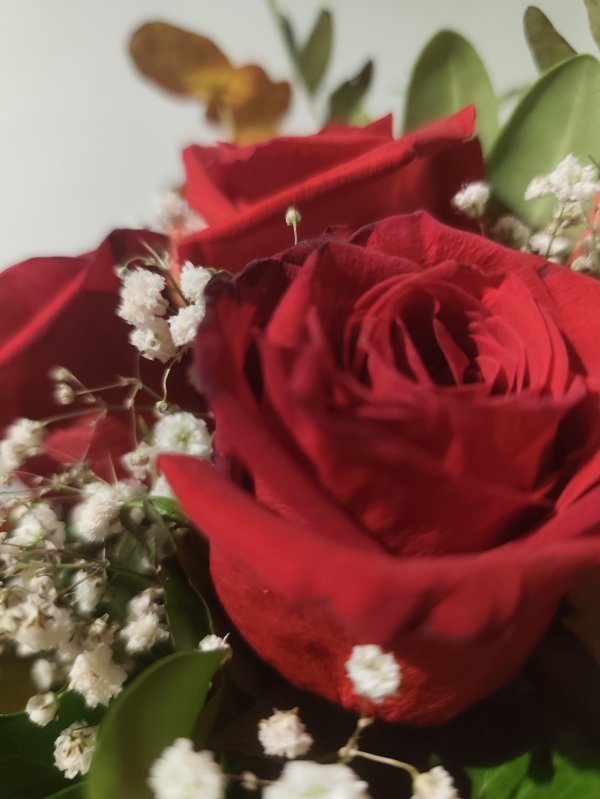 Redmi Note 14 Pro+ 5G