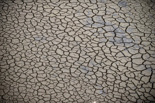 Suša je uzrokovala veliku štetu na usjevima (Ilustrativna fotografija)