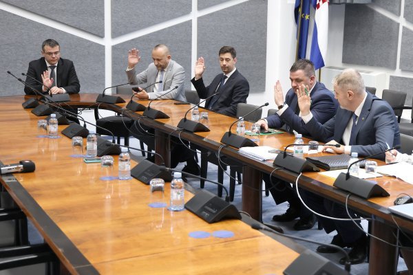 Skidanje imuniteta Barbari Antolić Vupori