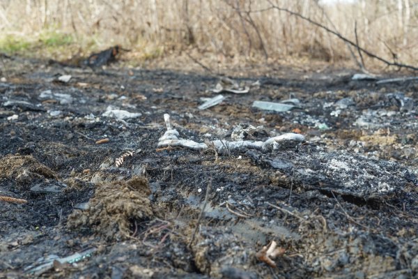 Mjesto kod Petrinje na kojemu je zapaljen automobil