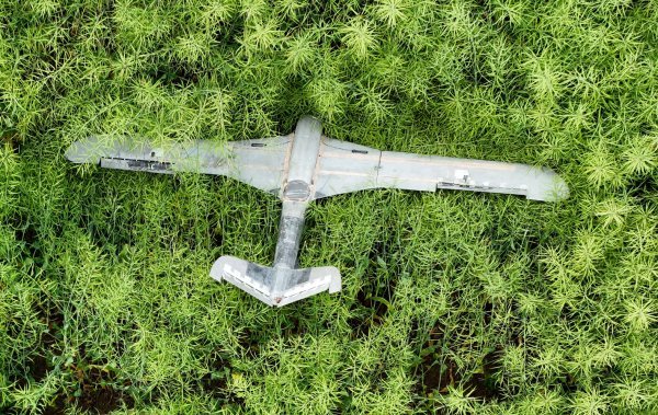 Ukrajinski dron Backfire