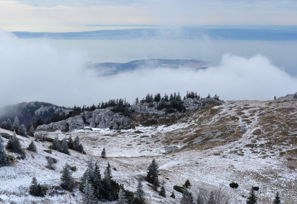Velebit