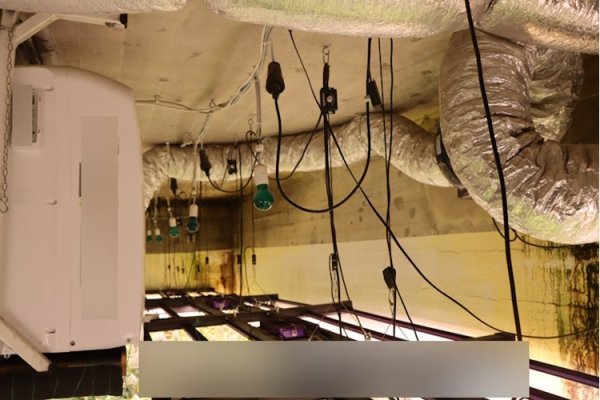 Laboratorij marihuane