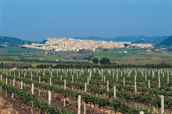 Sambuca, Sicilija