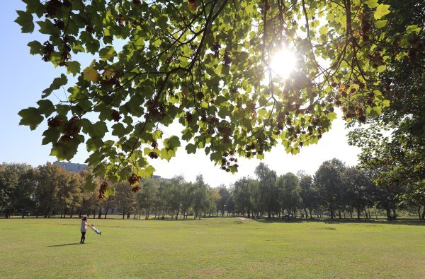 Park na Savici danas