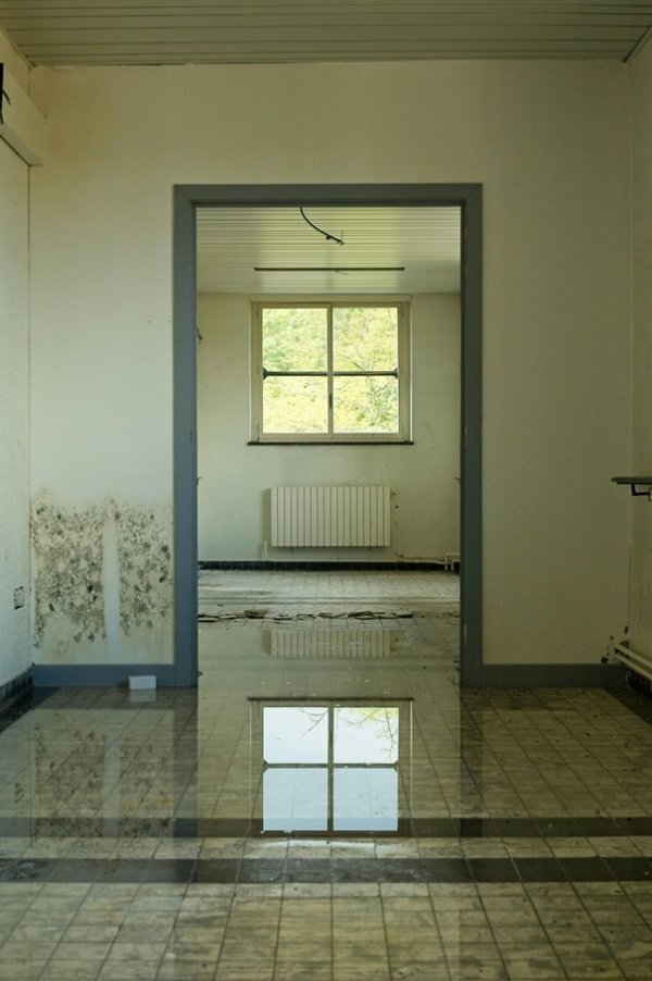 tportal