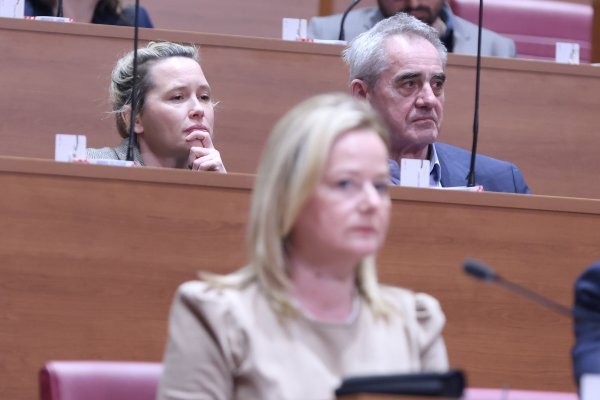 Ivana Kekin došla u Sabor