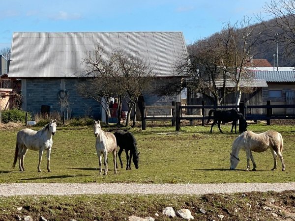 Istinska priroda