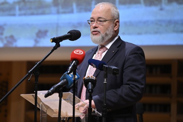 Neven Pelicarić