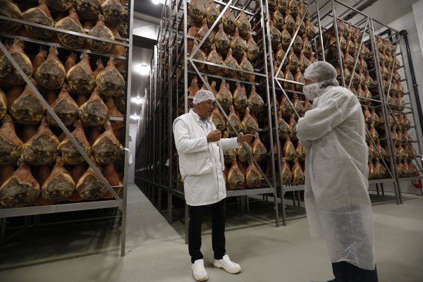 Ratarstvo, stočarstvo, industrija i trgovina stupovi su funkcioniranja Žita