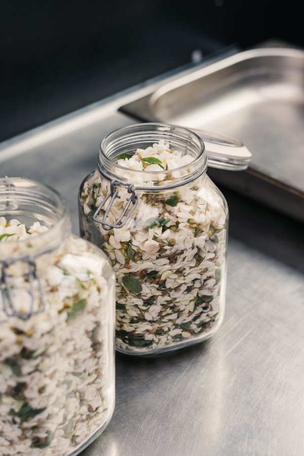 Nicolai Nooregaard - Kadeau