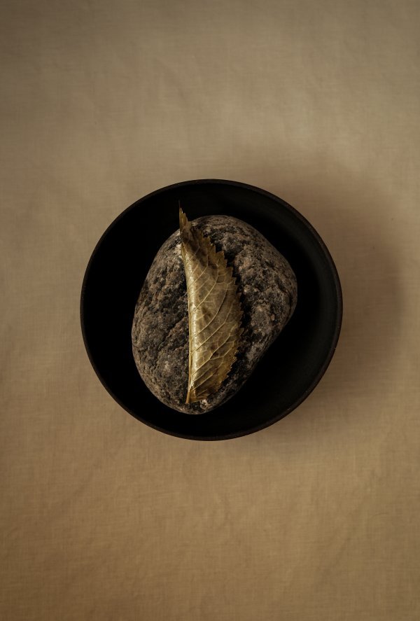 Nicolai Nooregaard - Kadeau