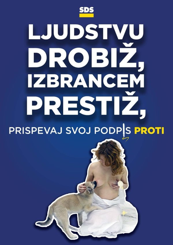 Plakati SDS-ove kampanje bez pristanka umjetnice osvanuli su diljem Slovenije, izazvavši niz prijetnji i uvreda na njezin račun
