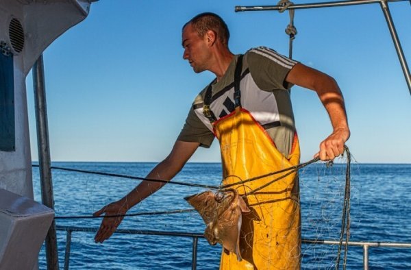 Fisherman Adventure