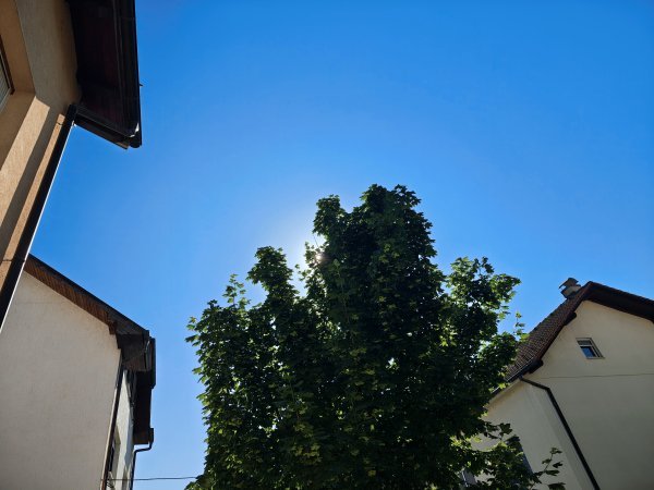 Razr 60 Ultra primjeri fotografija