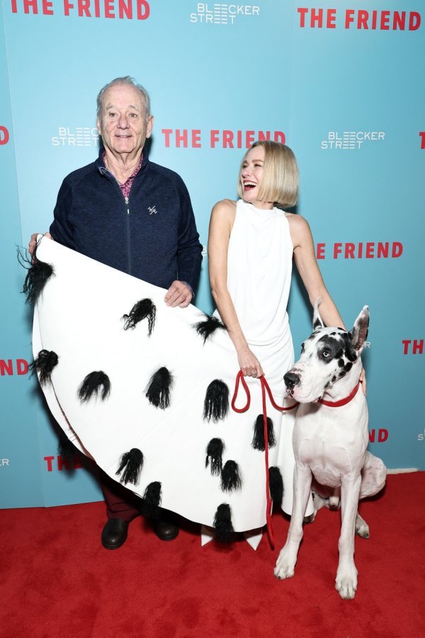 Bill Murray i Naomi Watts na premijeri filma 'The Friend'