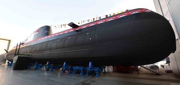 Klasa 218SG naoružana je lakim i teškim torpedima