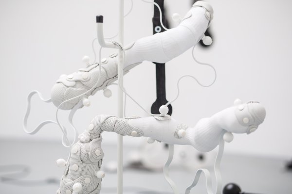 Forensic Folklore, 2018.