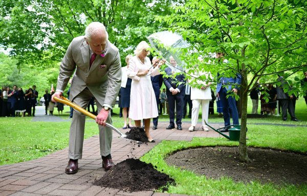 Kralj Charles III.
