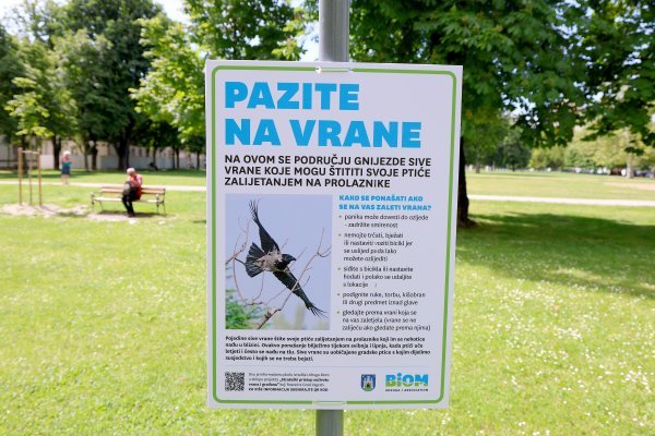 Obavijest o vranama