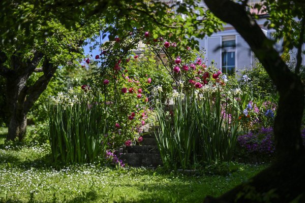 Vrt Ksenije Urličić