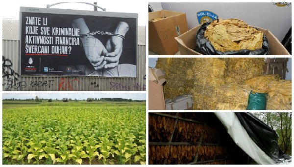kolaž uzgoj i šverc duhana