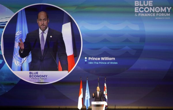 Princ William