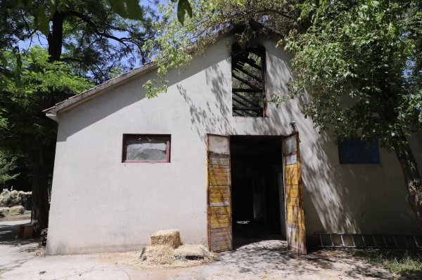 Požar na sinjskom hipodromu