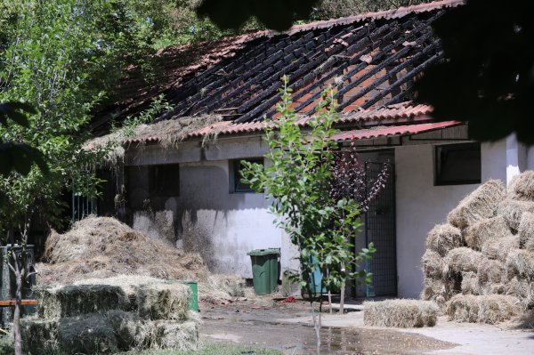 Gorjelo na sinjskom hipodromu: Sada se zna kako je došlo do požara