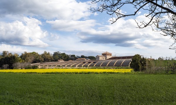 PERELADA-01_Hisao Suzuki