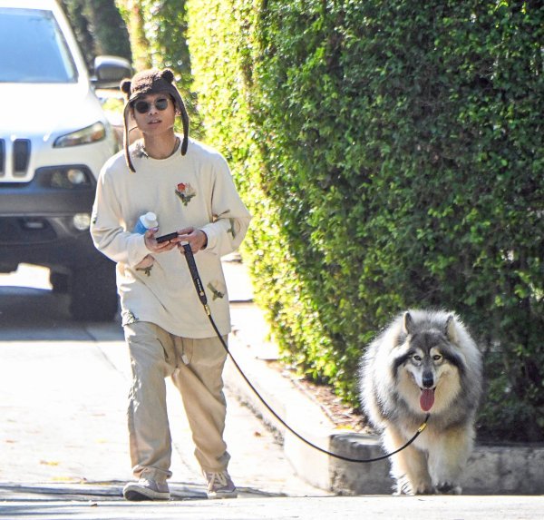 Pax Jolie-Pitt