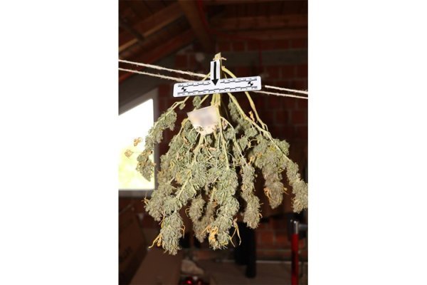 U kući i dvorištu u Gornjem Desincu pronađeno pet improviziranih laboratorija i razna droga