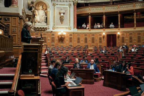 Francuski Senat jednoglasno podržao novi zakon o ultra-brzoj modi