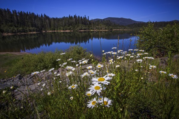 Fužine (Stanislav Horaček) (1)